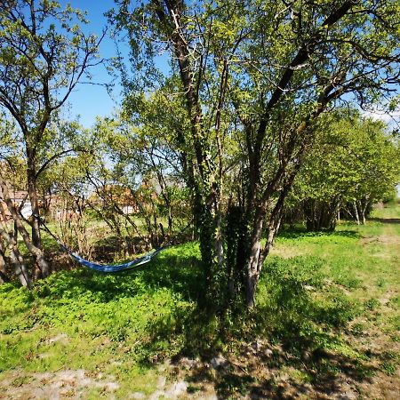 Huus An'T Doerpsdiek Krummhörn Extérieur photo