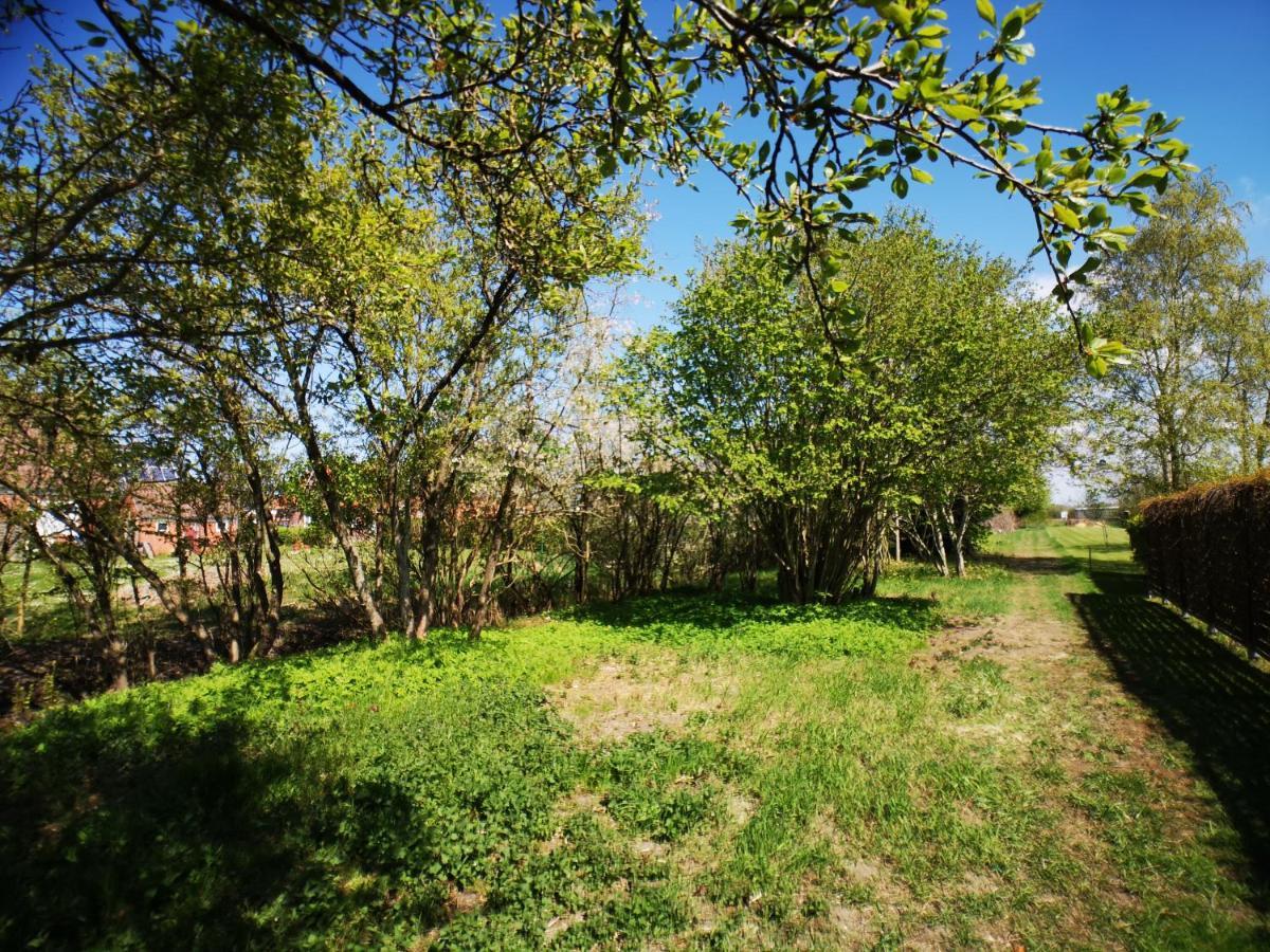 Huus An'T Doerpsdiek Krummhörn Extérieur photo
